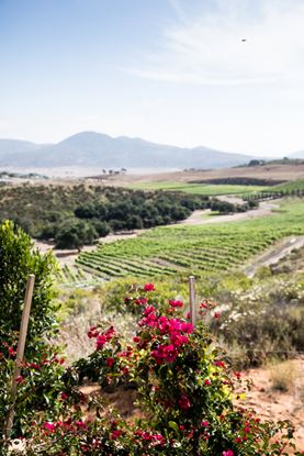 Picture of Photography Permit Fee - 2 hour Base Package 