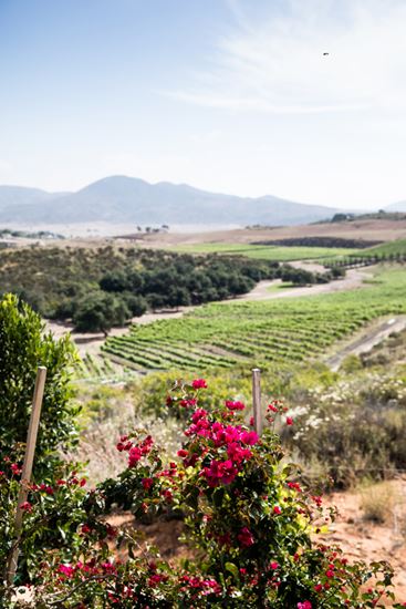 Picture of Photography Permit Fee - 2 hour Base Package 