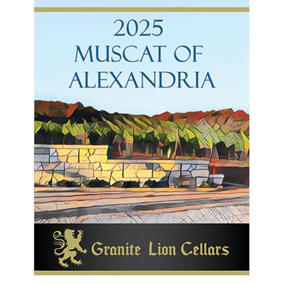 Picture of 2025 Muscat of Alexandria